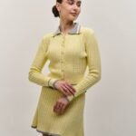 Dina costume